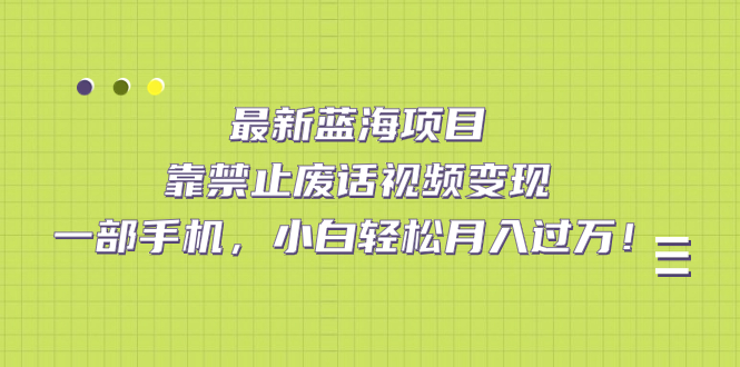 最新蓝海项目，靠禁止废话视频变现，一部手机，小白轻松月入过万！-知库云创