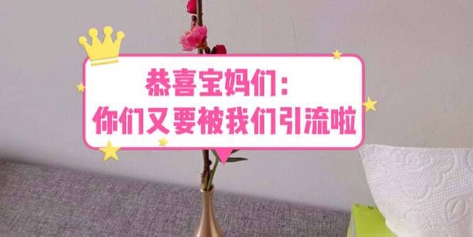 恭喜宝妈们：你们又要被我们引流了（教程+222g资料）-知库云创