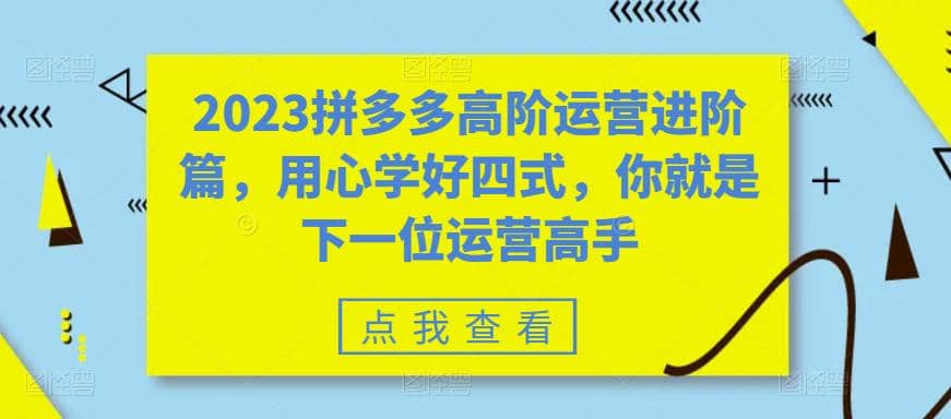 2023拼多多高阶运营进阶篇，用心学好四式，你就是下一位运营高手-知库云创