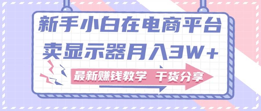 新手小白如何做到在电商平台卖显示器月入3W+，最新赚钱教学干货分享-知库云创