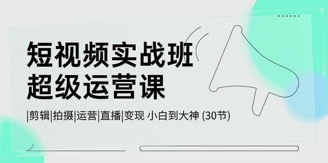 短视频实战班-超级运营课，|剪辑|拍摄|运营|直播|变现 小白到大神 (30节)-知库云创