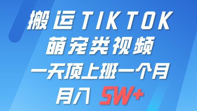 一键搬运TIKTOK萌宠类视频 一部手机即可操作 所有平台均可发布 轻松月入5W+-知库云创