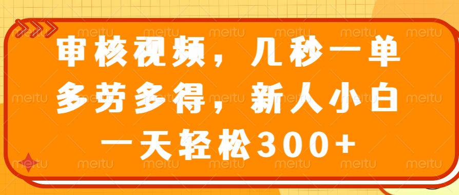 视频审核员，几秒一单，多劳多得，新人小白一天轻松300+-知库云创